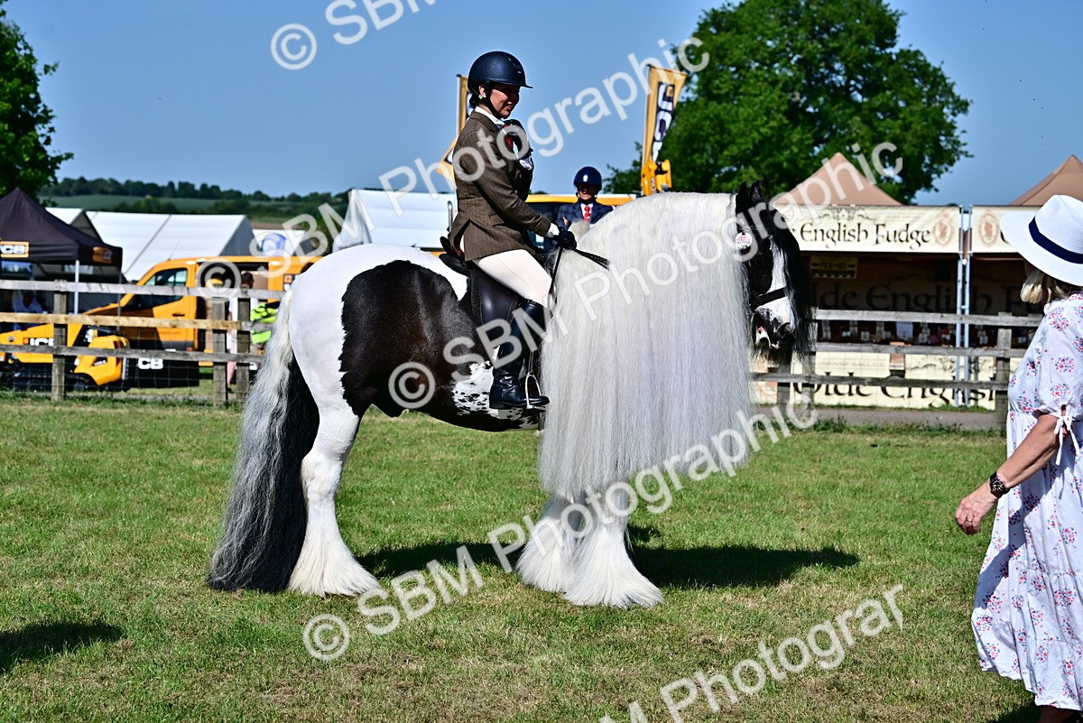 SBM_19377 - Class 101-102 - BSPS LIHS Performance Coloured Horse/Pony