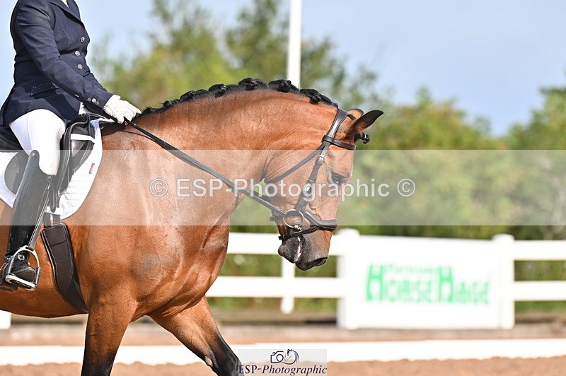 240817A-095256-06760 - 197-Karen.Martin-Furzeylodge.Weatherwax