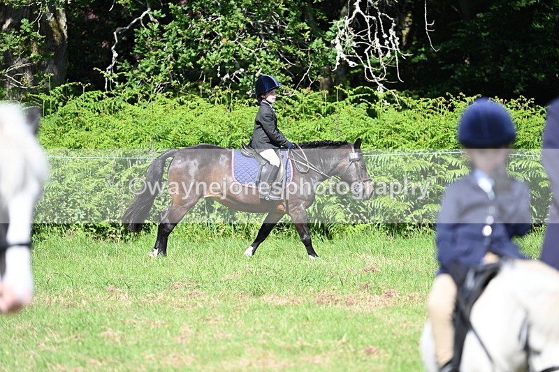 WJ7_0601 - Class 8 First Rally Pony