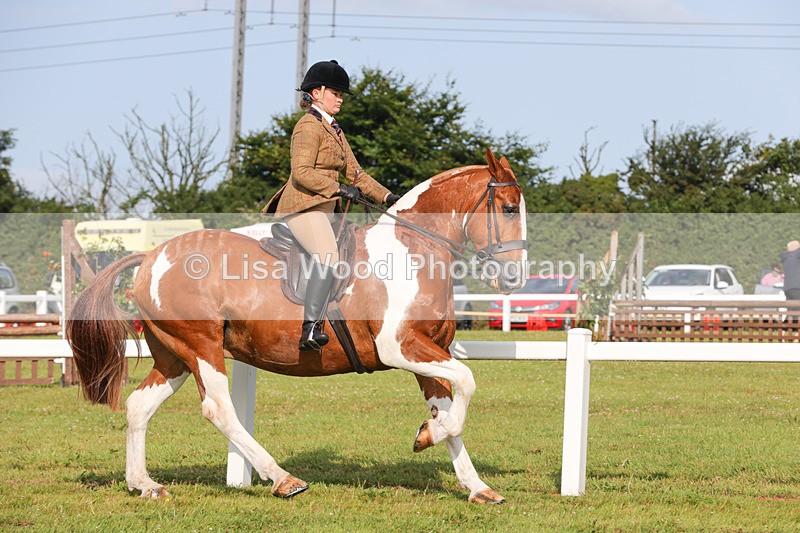 1X9A3138 - Class 27:  Ridden Native/Trad Coloured Horse