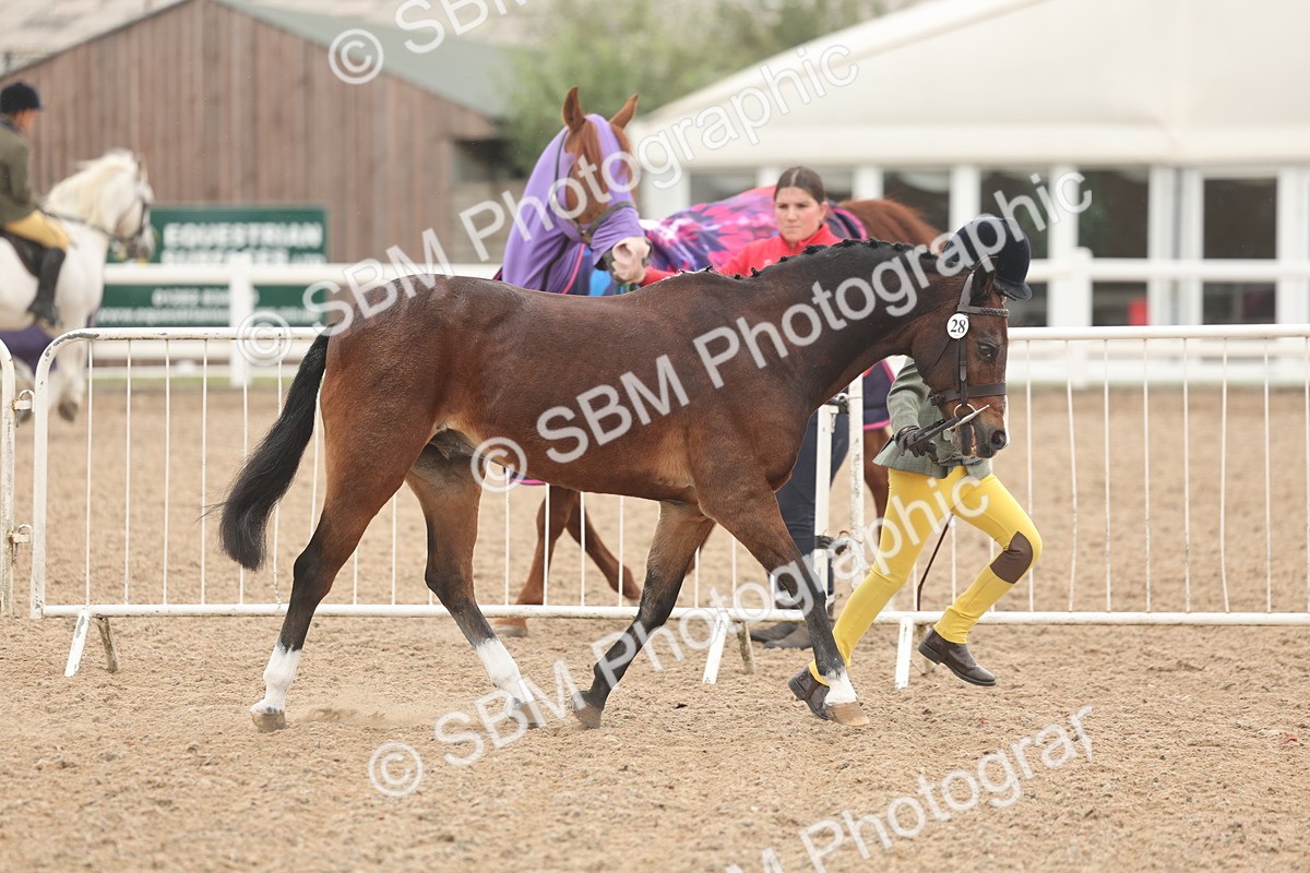 SBM_00470 - Class 13 Young Handler
