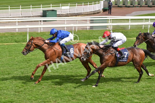 yr13052021r4-38 - Race 4 3.10pm Al Basti Equiworld Dubai Dante Stakes