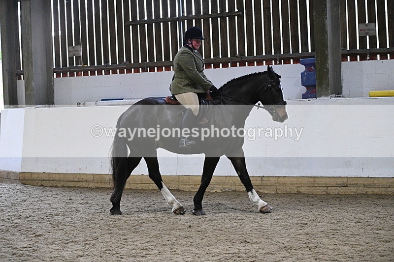 WJ7_3906 - Class 17 Ridden Cob