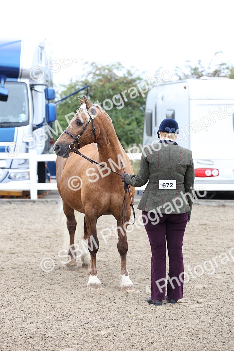 SBM_00042 - Class 50 - Best Turned Out IH