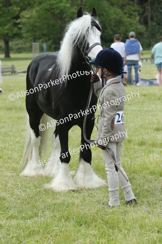 20260614-4303 - Class 18 - Best Junior Handler