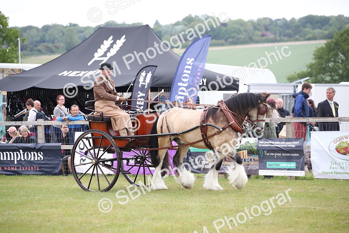 SBM_05620 - Class 12-15 - HOYS Private Driving