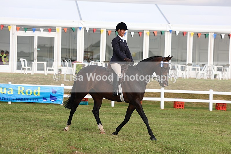 3E7A7777 - Class 1: Rising Star Small Hack/Riding Horses