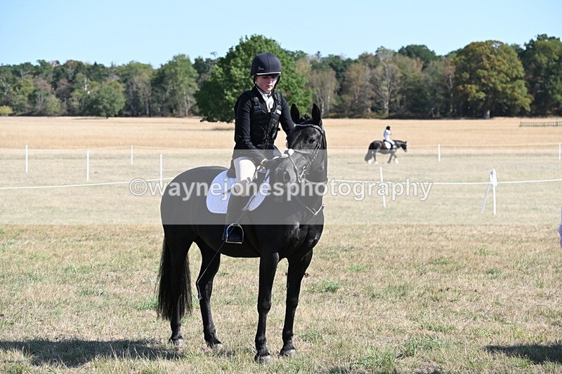 WJ6_7610 - Class 34 Judges Choice