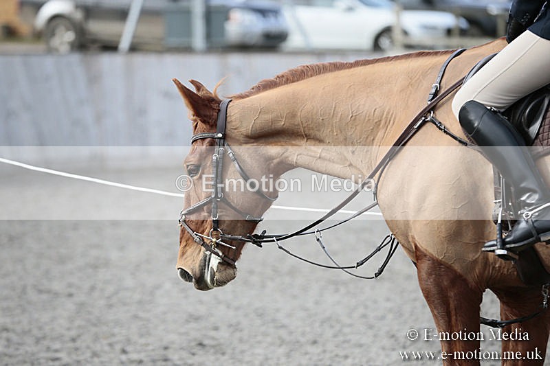 BVRC SJ 170319 806 - Bourne Valley Riding Club Showjumping 17/03/19