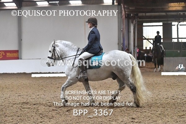 BPP_3367 - INTRO TEST 1