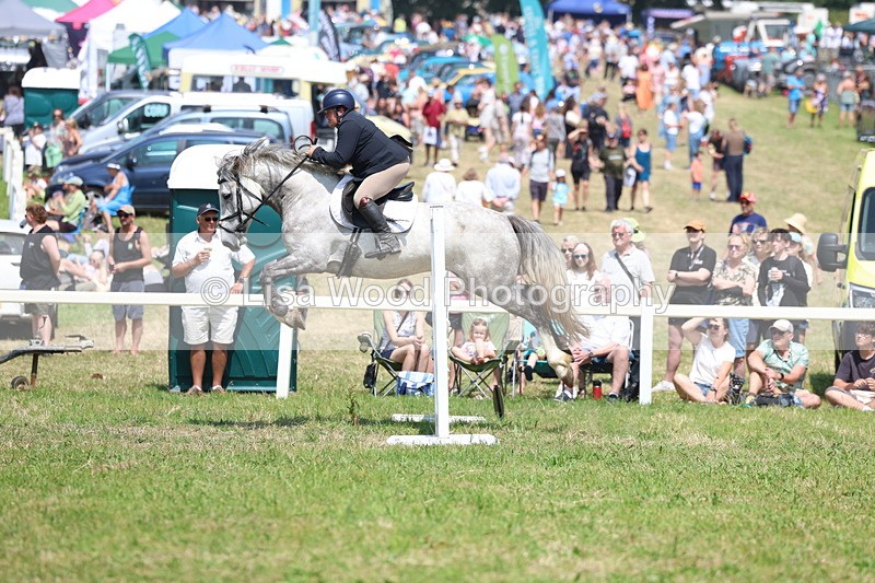 3E7A2927 - Class 7: Senior British Novice/90cm open