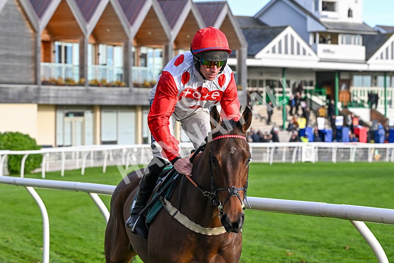 211125-Race 4-Silver Hill-7517 - Race 4