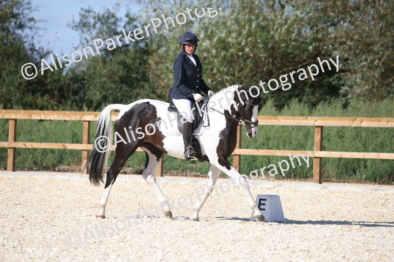 20260905-1575 - Class 5 - Novice 2