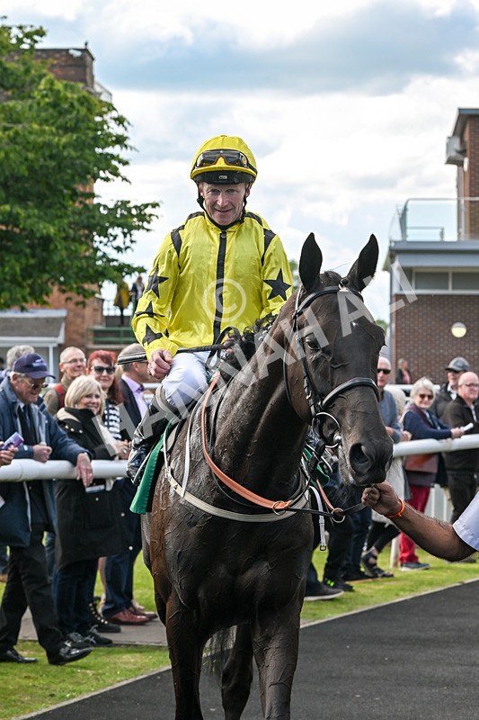 160624-Race 4-Align The Stars-8881 - Race 4