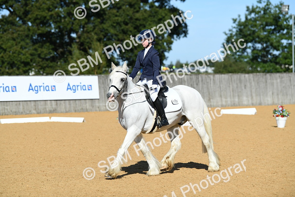 SBM_18107 - D4 - Small Tour Championship - Intro B