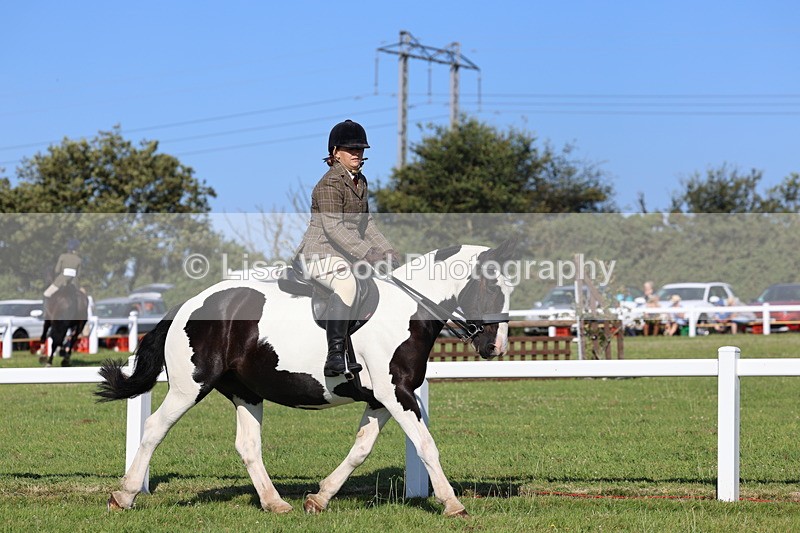 IMG_1476 - Class 30: Ridden Native/Trad Coloured Pony
