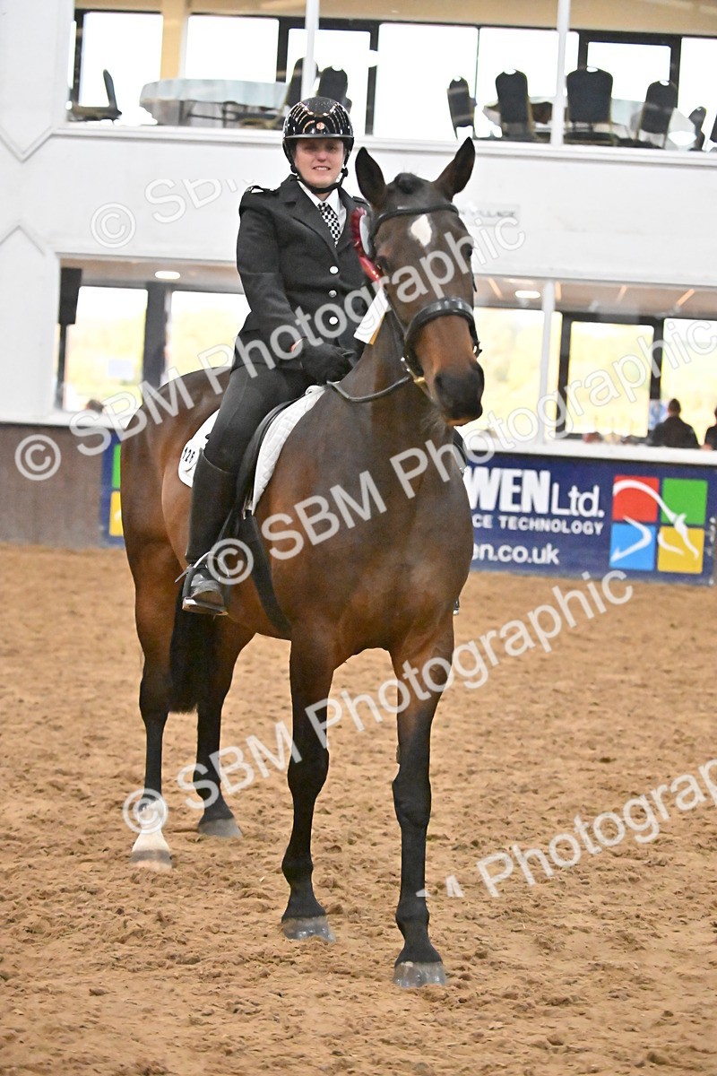 SBM_003030 - Class 37,38 - UKPSAF Performance Horse & Pony