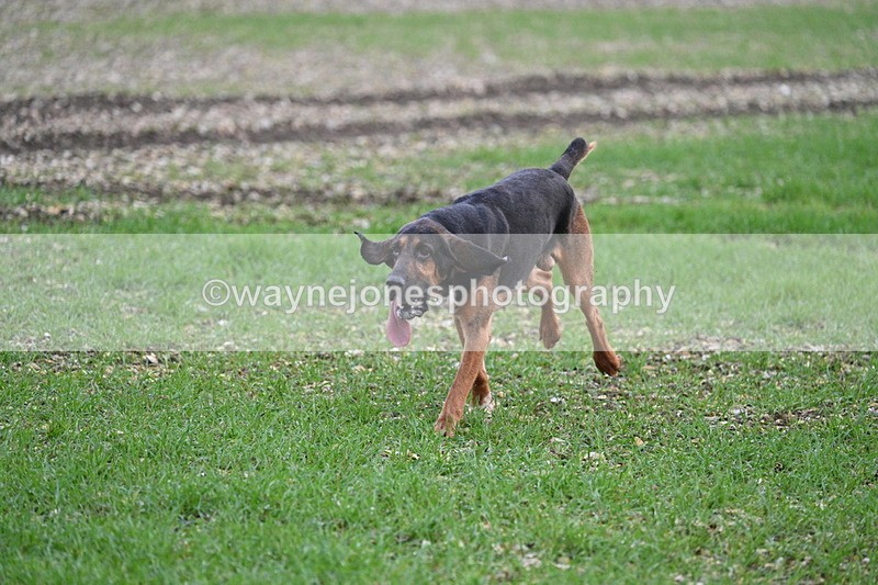 WJ7_0191 - Camera 1 & Last fence