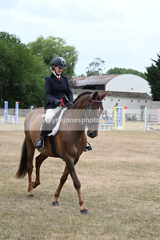 WJ7_0773 - Class 7 Riding Club Show Horse