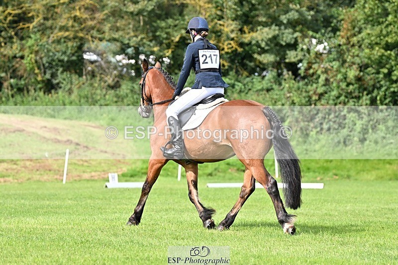 230826-105431-16763 - Sections A & B 10 to End