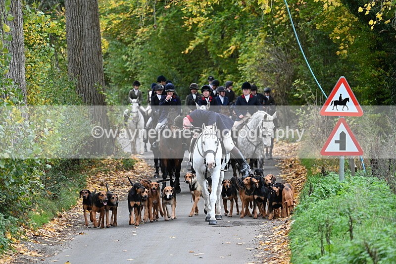 WJ7_7108 - Walk Home..