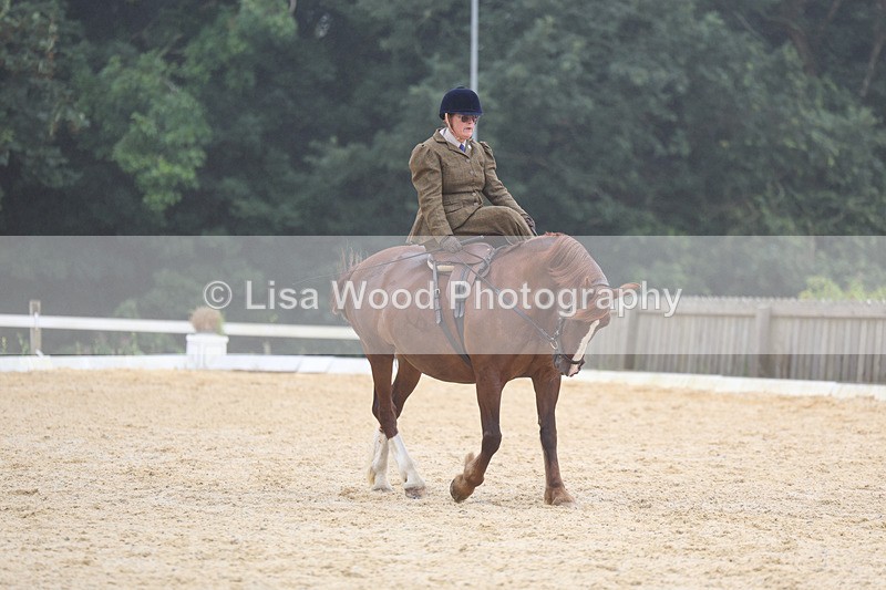 3E7A6844 - Class 5: Prelim to Music