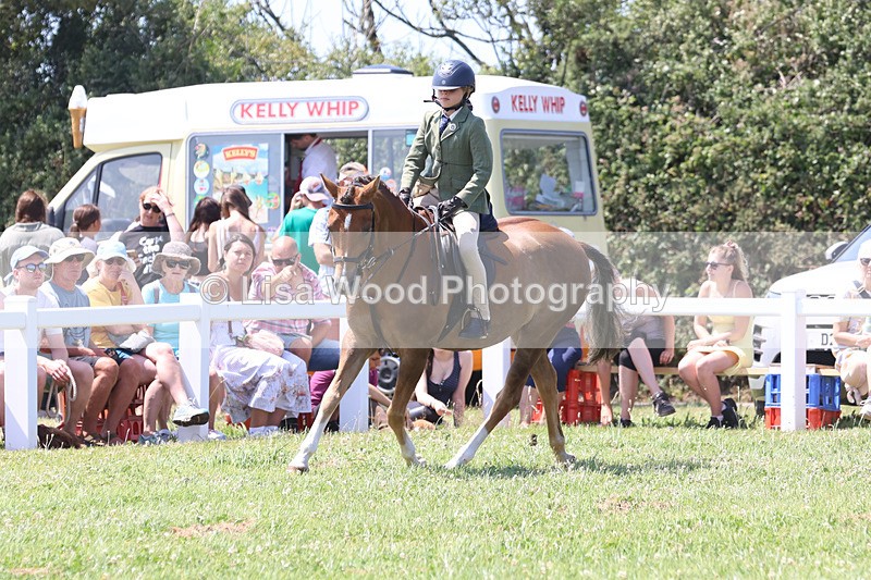 JPP_2770 - Class 21: Working Hunter 60cm