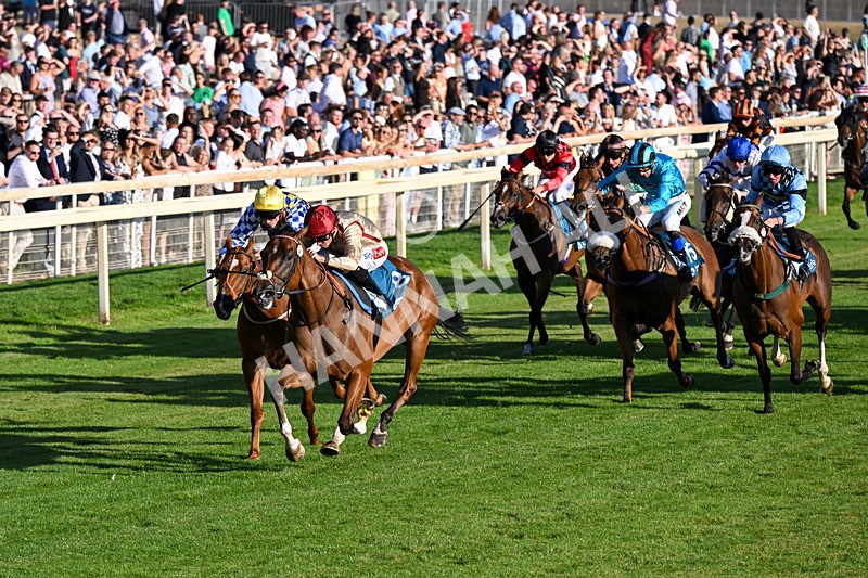 240726-Race 4-Rajaking-0416 - Race 4 19.15pm Tomahawk Handicap