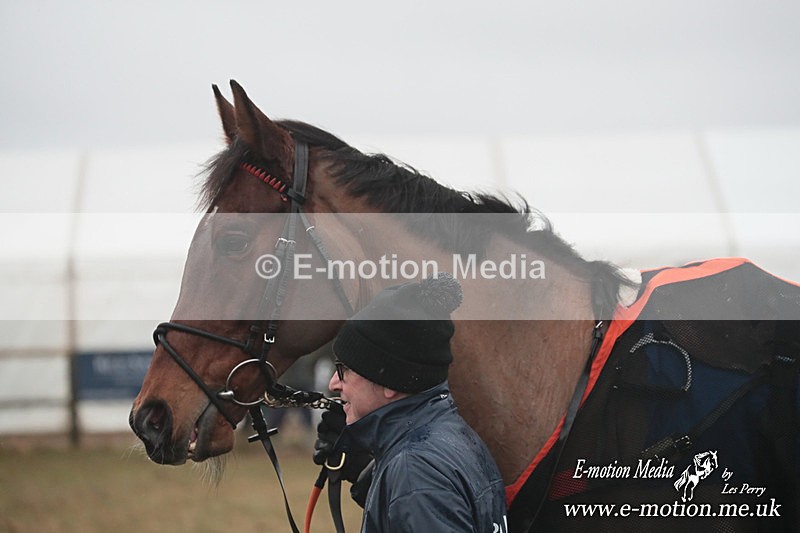 PtP 260125 403 - Cocklebarrow Point-to-Point racing with the Heythrop Hunt 26/01/25