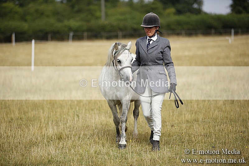 _C7A9180 - BVRC Sow 2018 Ring 2