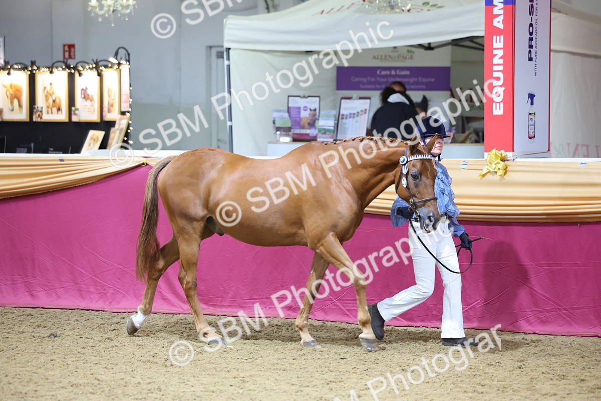 SBM_20943 - Class 902 - Supreme Final IH Veteran