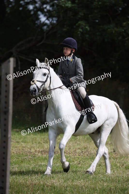 20260614-0562 - Class 20 - Beginners Working Hunter Pony