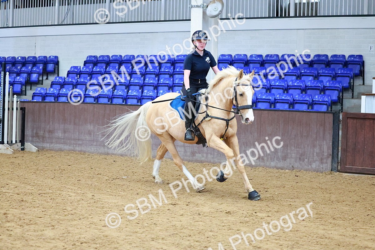 SBM_000255 - Class 1 - 80cm