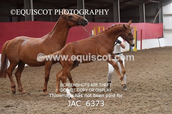 JAC_6373 - 19 Luca
