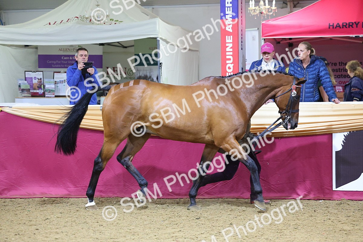 SBM_20768 - Class 902 - Supreme Final IH Veteran