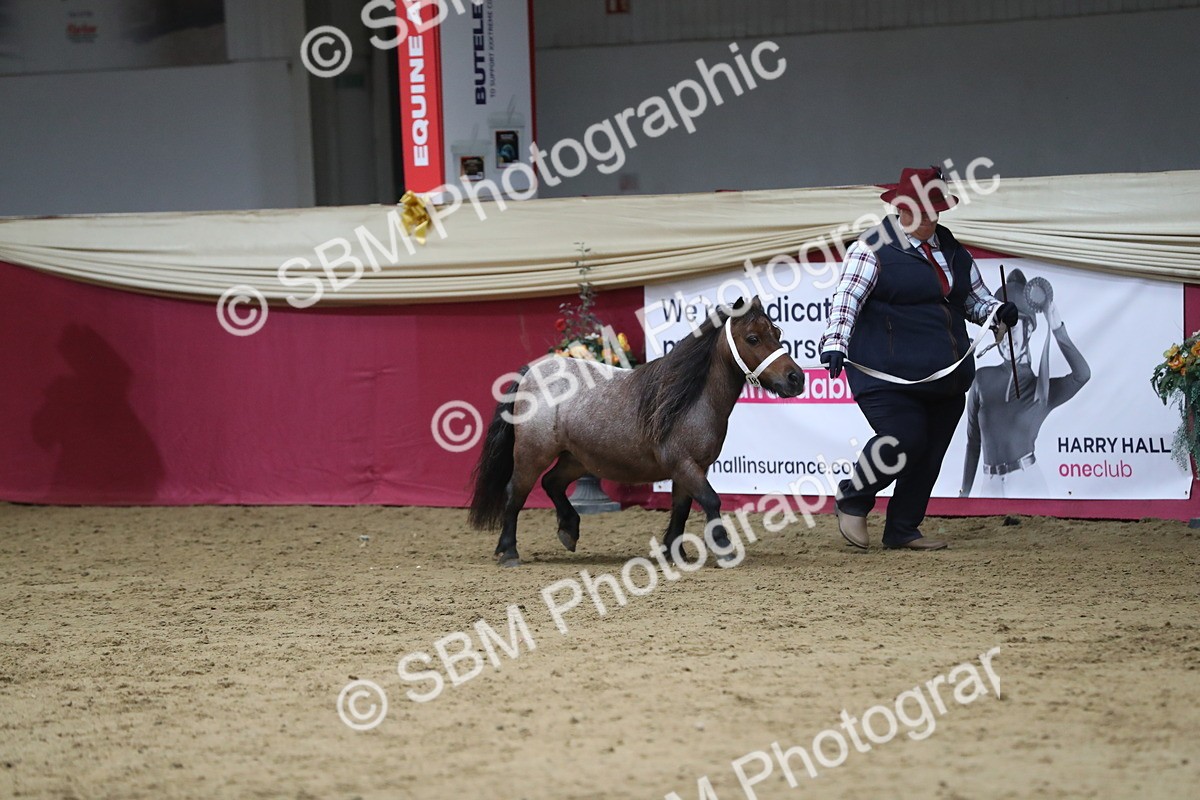 SBM_06365 - Class 9R Regional- IH Pre Vet