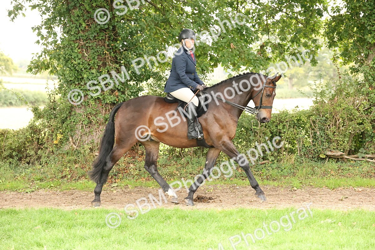 SBM_62999 - S64 - Foreign Breeds Ridden