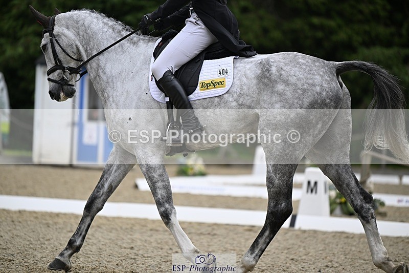 000101-215851-04514 - 404-DEERPAIRC_REVELRY-Max_Warburton