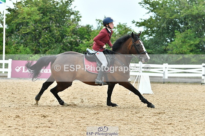 230730A-101147-08493 - Cls 31 British Novice & 90cm Open