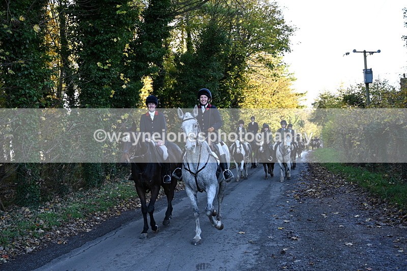 WJ6_9686 - Walk Home