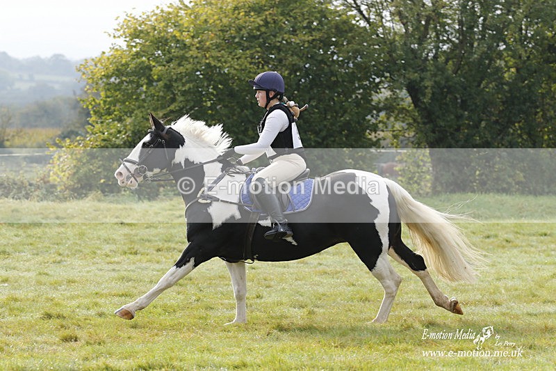  WWHT 171021 0749 - Open Novice (0.80m)  17/10/21