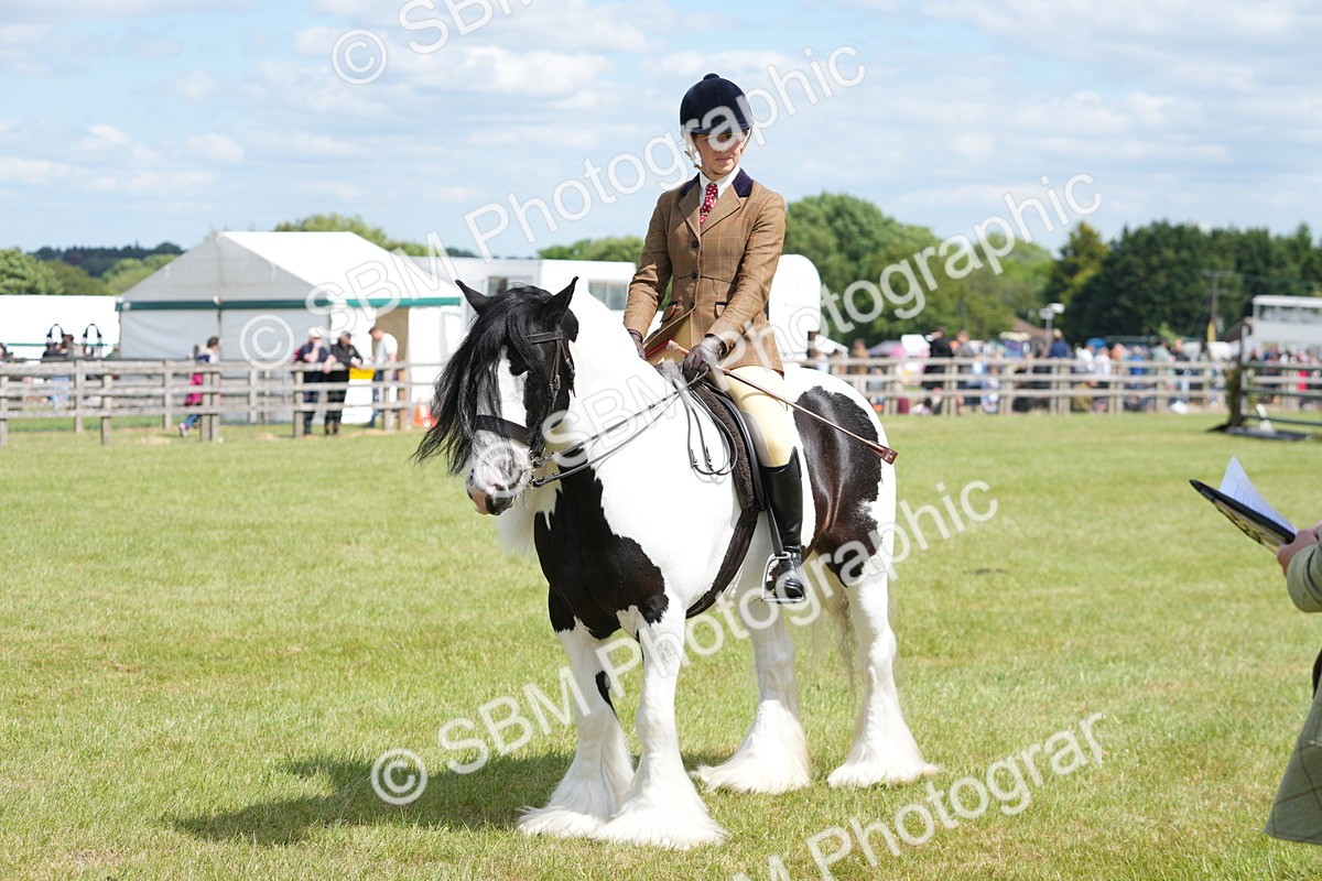 SBM_17238 - Class 107-108 - LIHS BSPS Performance Coloured Horse Pony