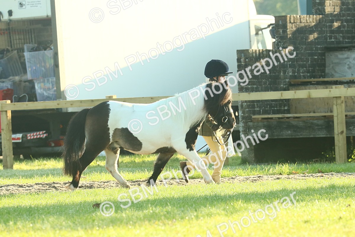 SBM_57337 - S37 - Starters In Hand Showing