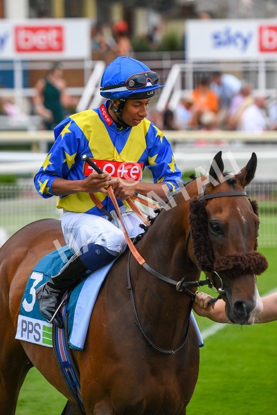 170623-Race 7-The Green Man-0972 - Race 7 5.25pm Clean Up With PPS Handicap