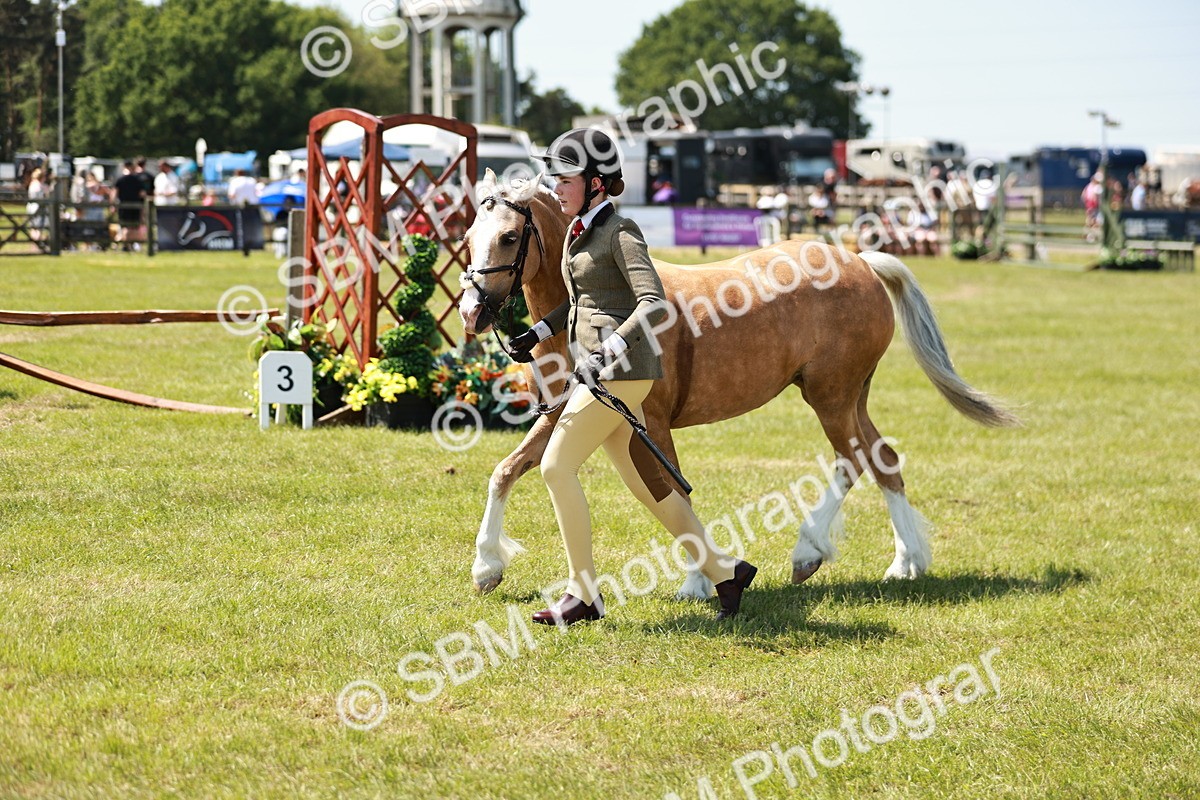 SBM_15706 - Class 108-109 - BSPS LIHS Open Gradle & Nursery Stakes