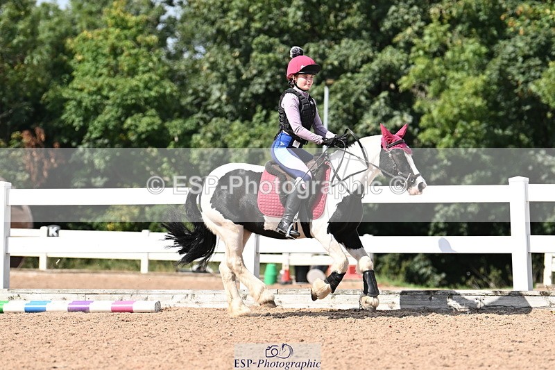 250821B-150253-00907 - Group D - Thomasina