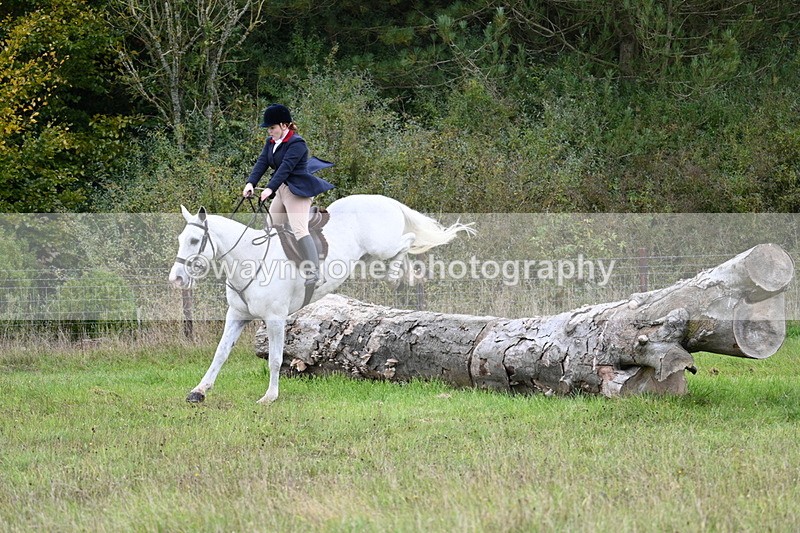 WJ7_3944 - Camera 1 Line 1