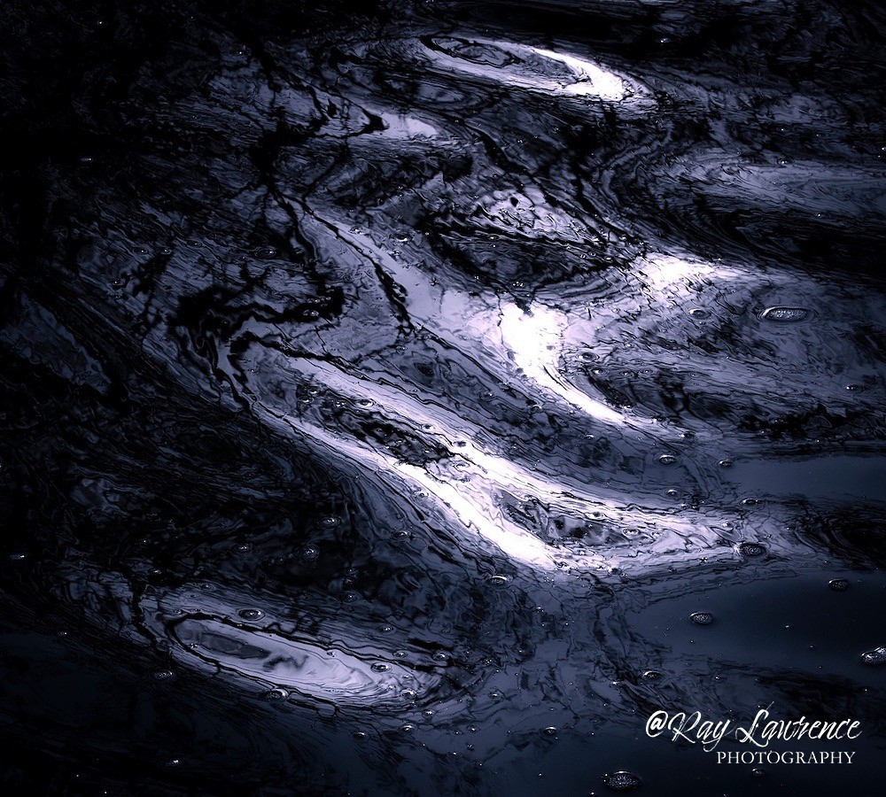 Reflections_25220_RLP0043 - Double Take