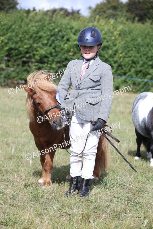 20250831-1719 - Previous show - Lambourn 2025