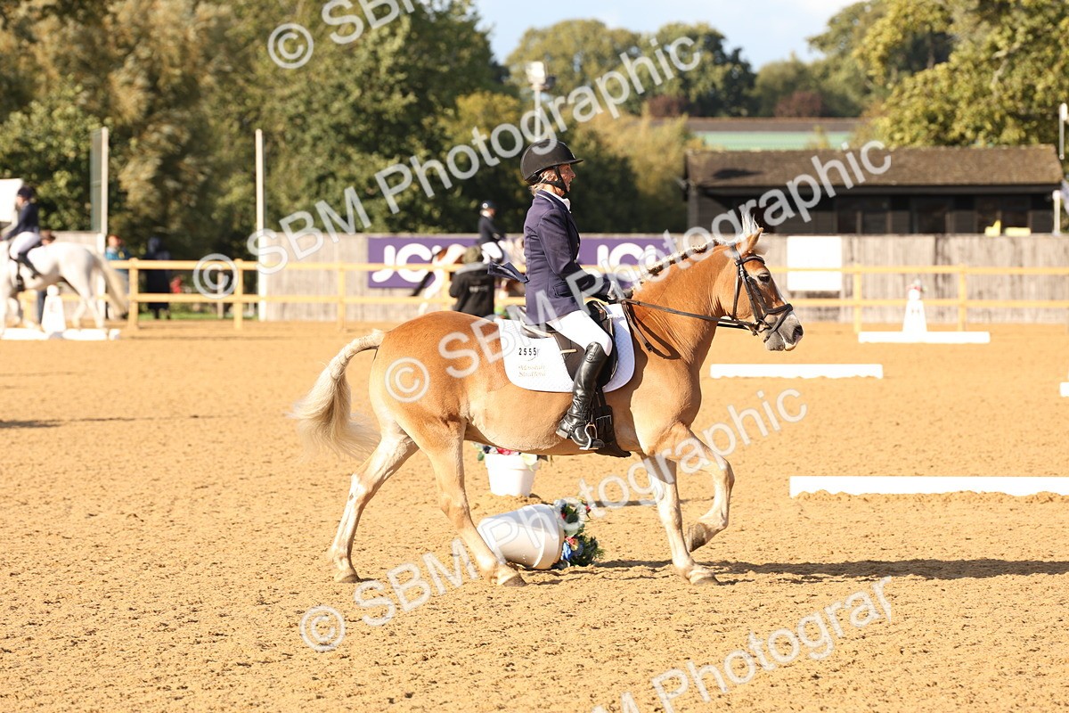 SBM_28215 - D20 - Grand Tour Championship Elementary 3